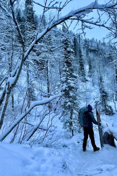 Randonnée en laponie finlandaise accessible aux débutants