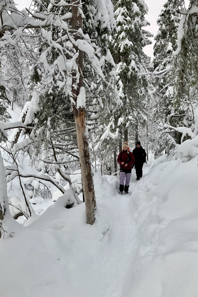 Randonnée en laponie pour les familles, couples ou amis